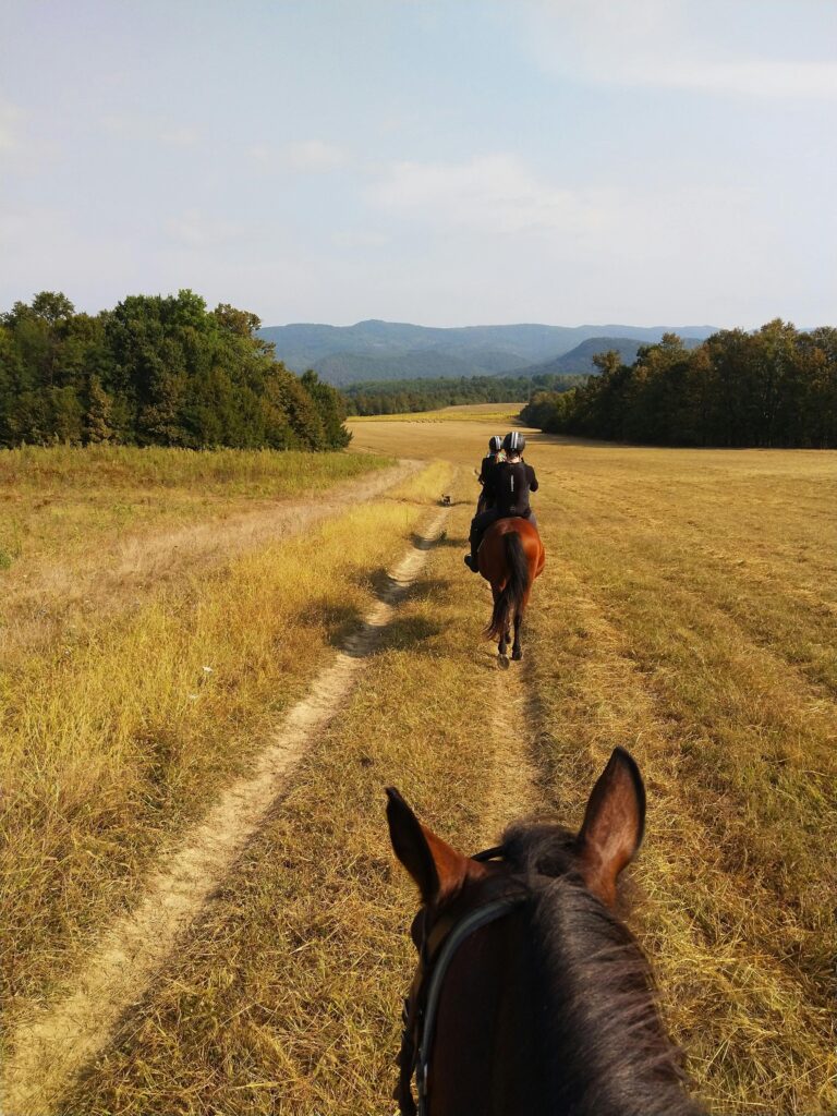 Horseback riding adventure through Elena's scenic meadows in Bulgaria.